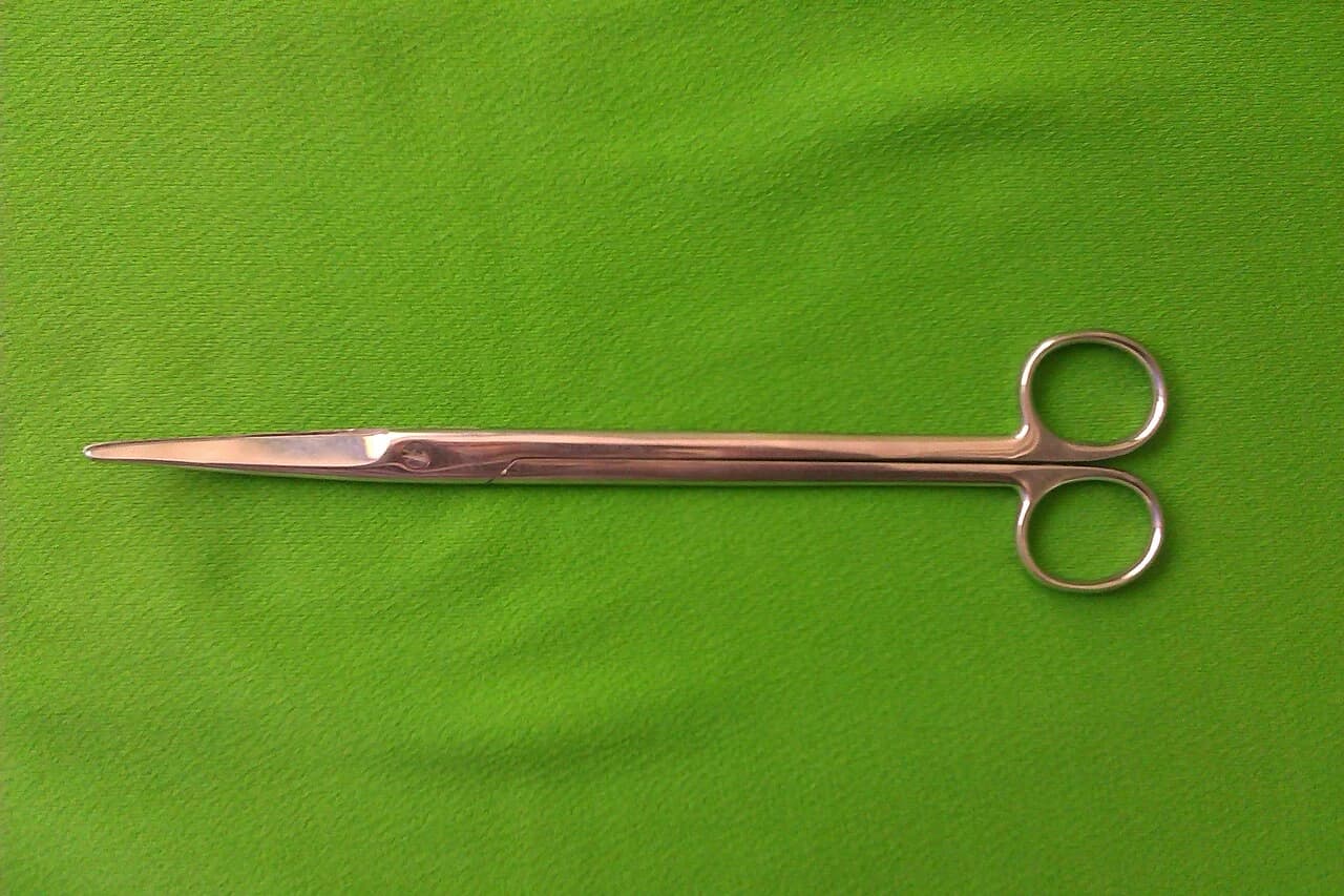Reference photograph of Mayo scissors