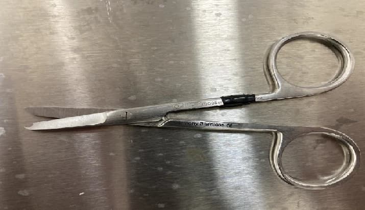 Reference photograph of Stitch-removal scissors