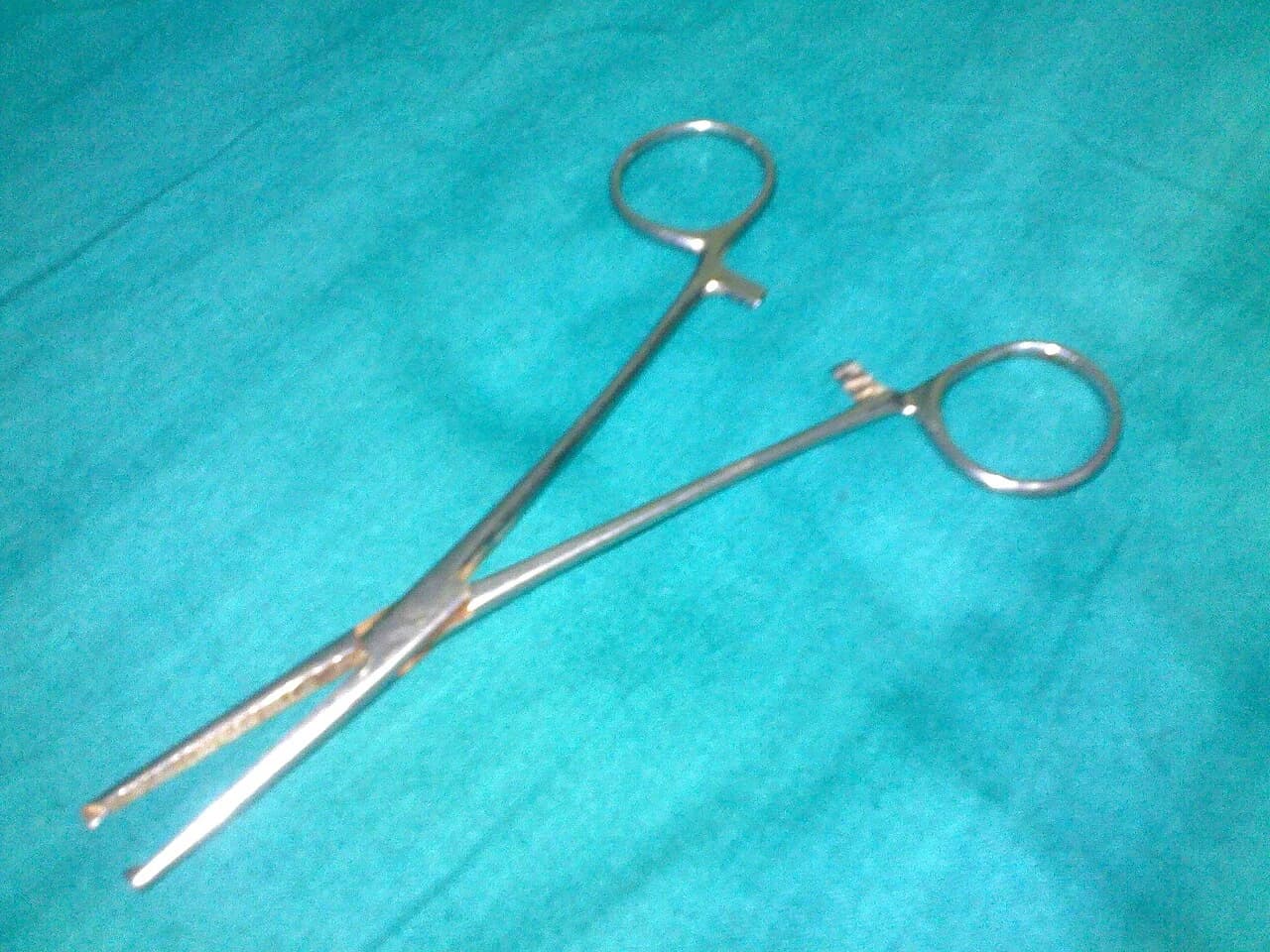 Reference photograph of Kocher forceps