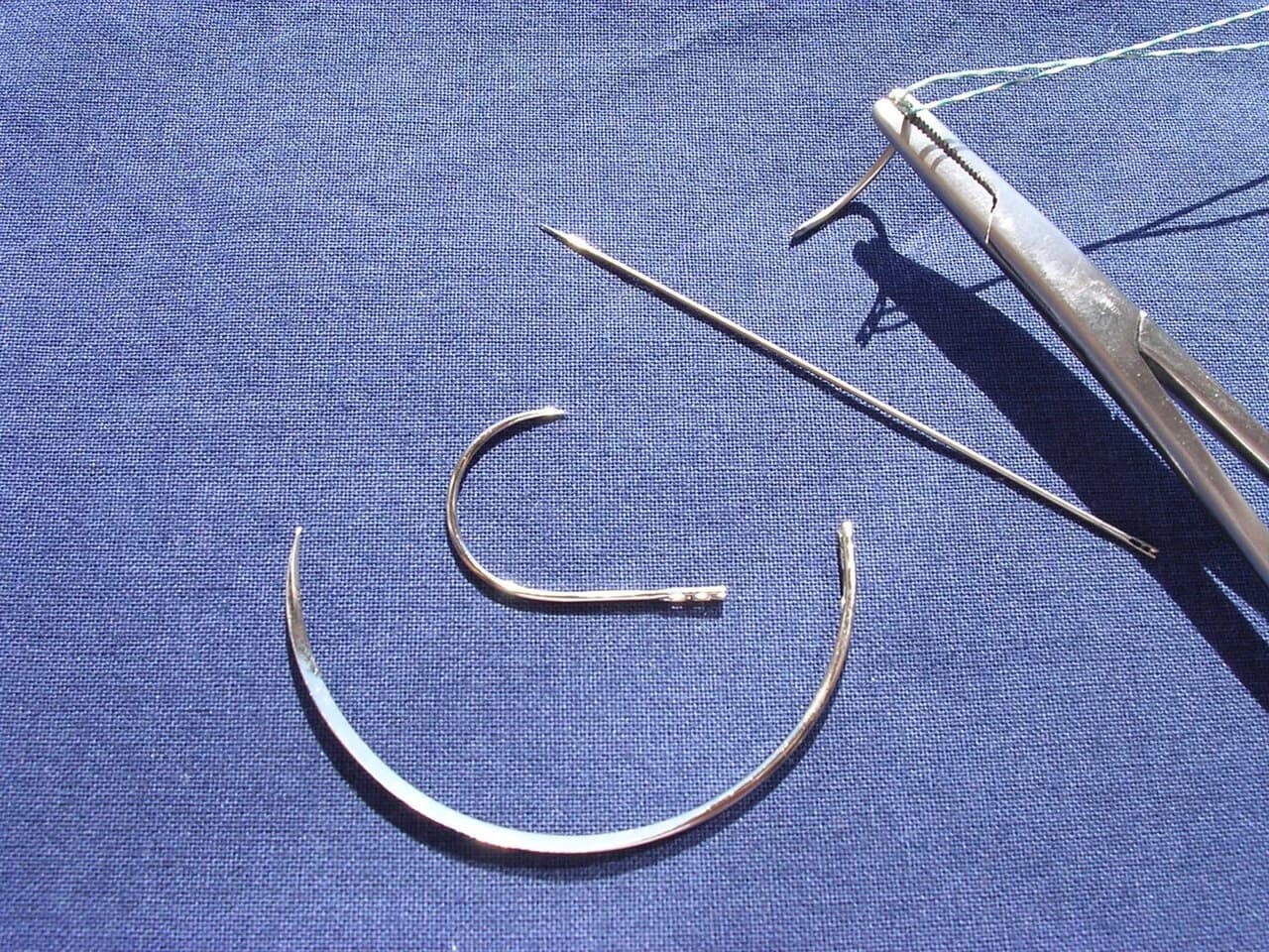 Reference photograph of Surgical suture needles