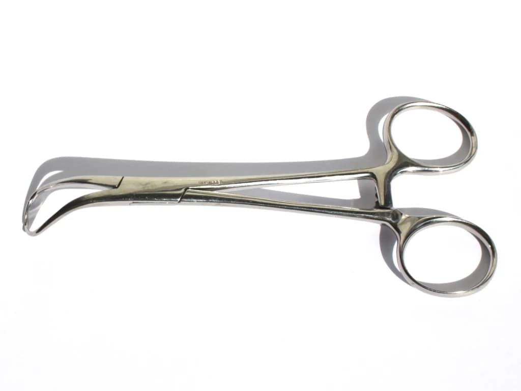 Reference photograph of Backhaus towel clip