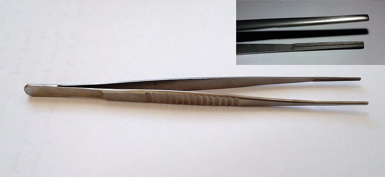 Reference photograph of DeBakey tissue forceps