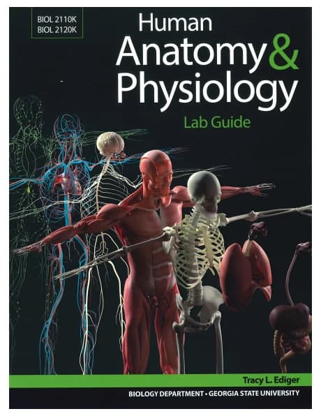 Book cover: Tracy L Ediger Human Anatomy & Physiology Lab Guide