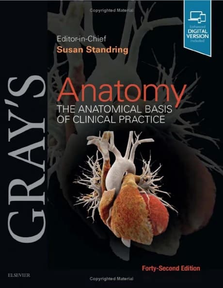 Book cover: Gray's Anatomy Basis of Clinical Practice 42th