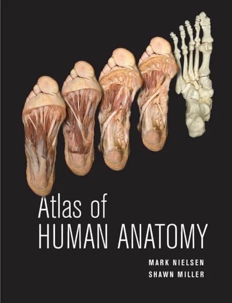 Book cover: Anatomy Cadaveric Atlas