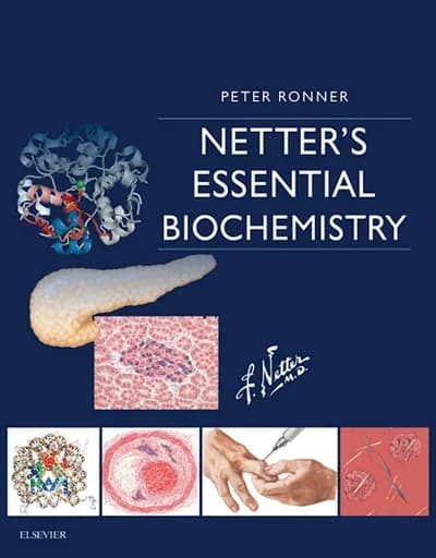Book cover: Netter’s Essential Biochemistry 1st