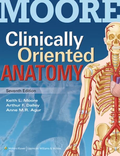 Book cover: Moore's Clinically Oriented Anatomy 7th