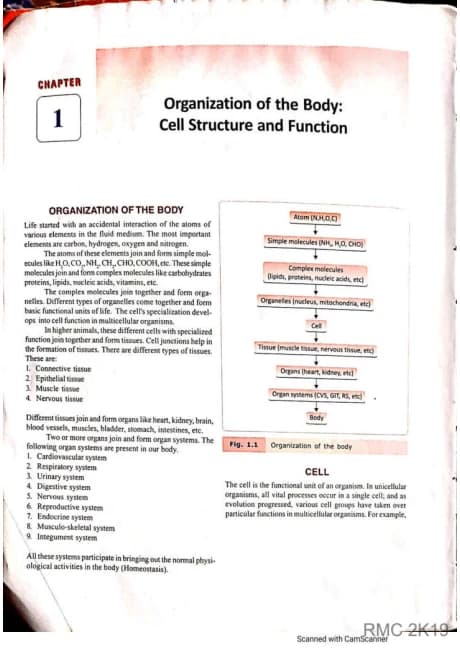 PDF page preview: Scanned LPR Physiology