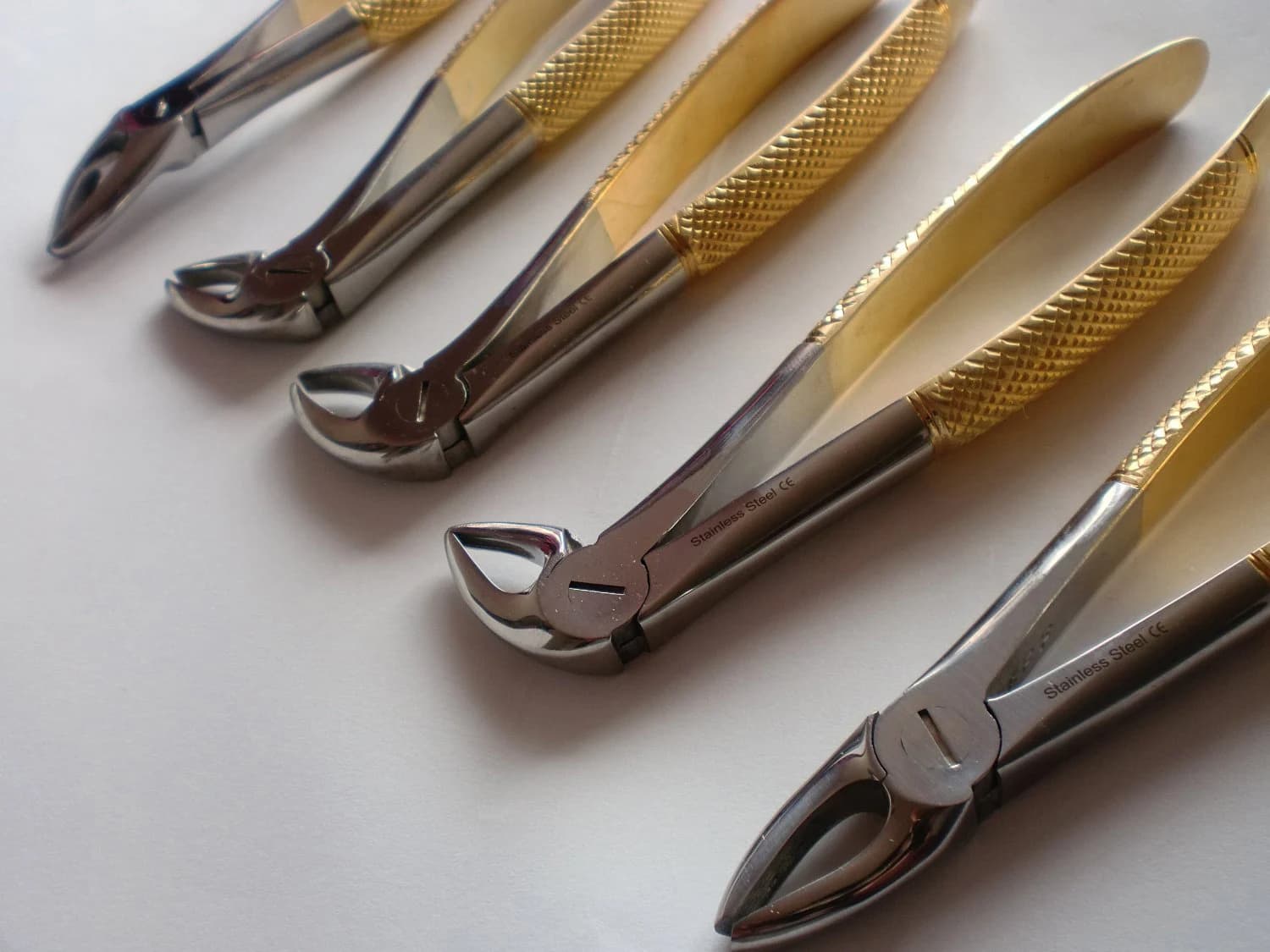 extraction forceps — reference view