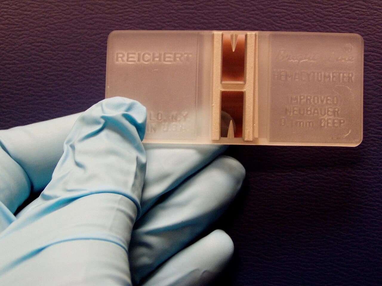 Improved Neubauer haemocytometer — reference view