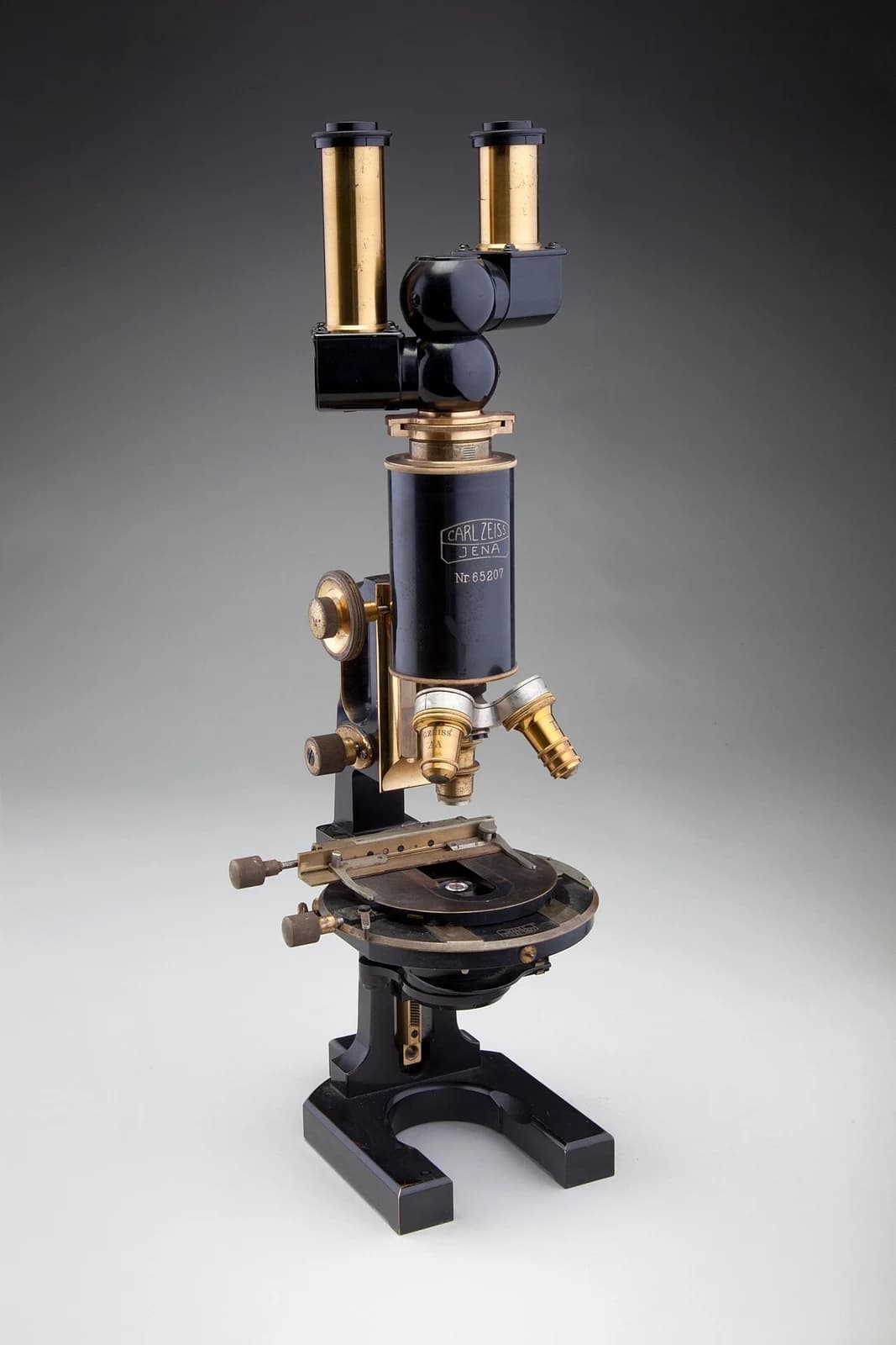 Compound microscope — reference view