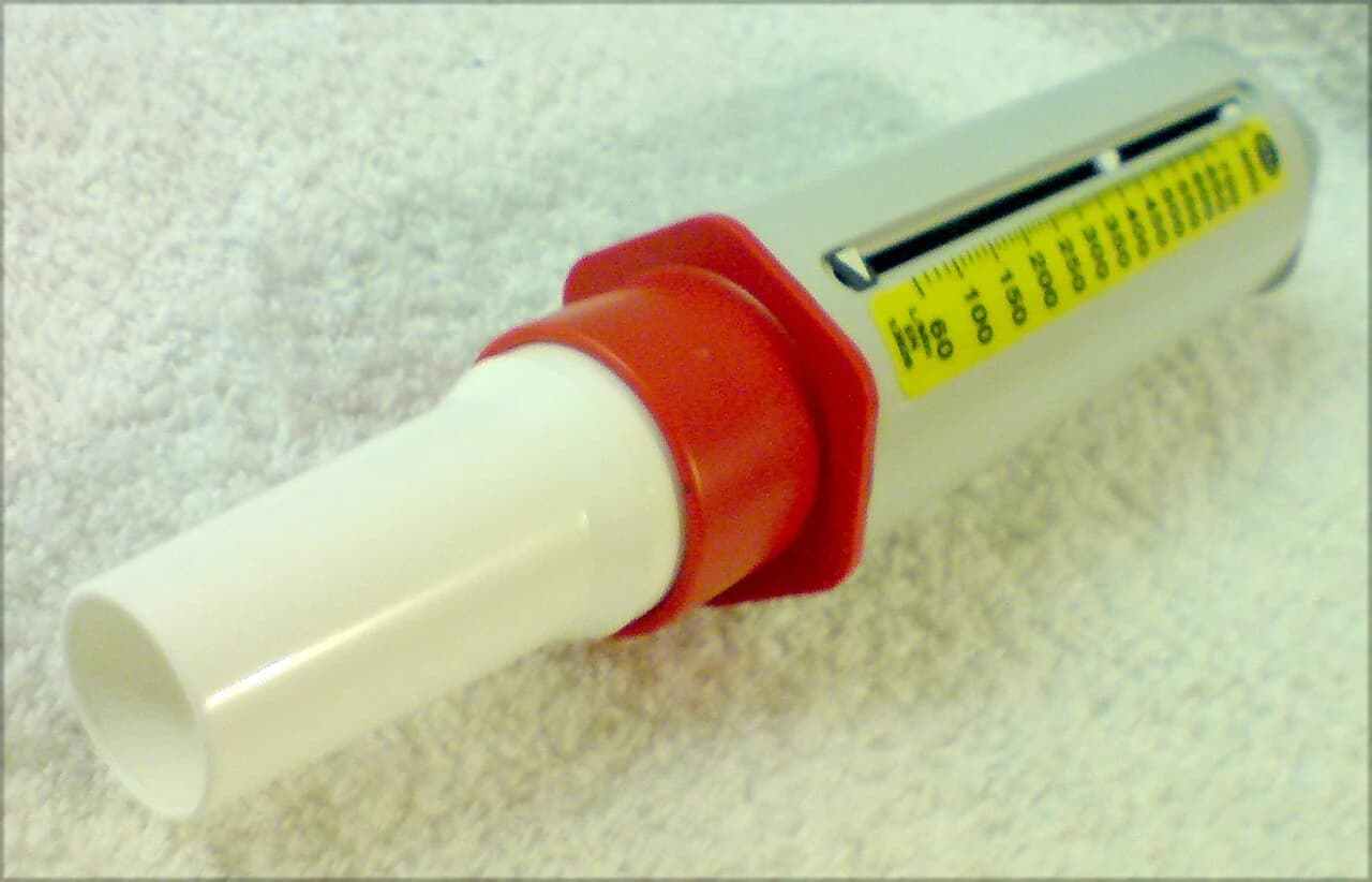 Peak expiratory flow meter — reference view