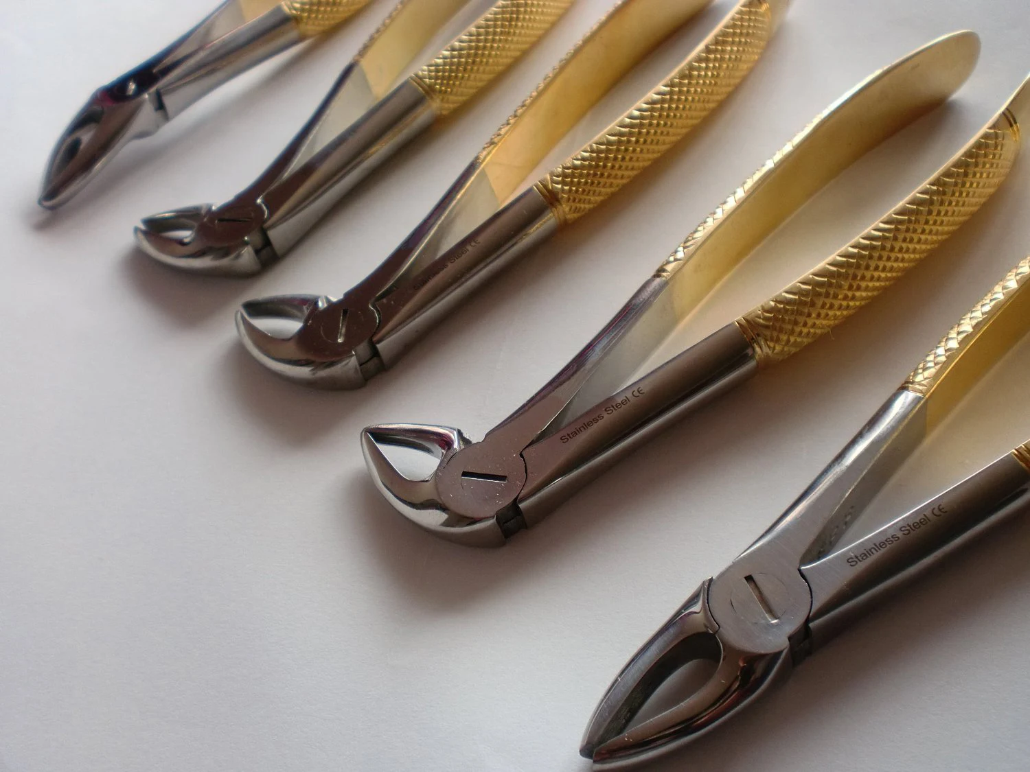 extraction forceps — reference view