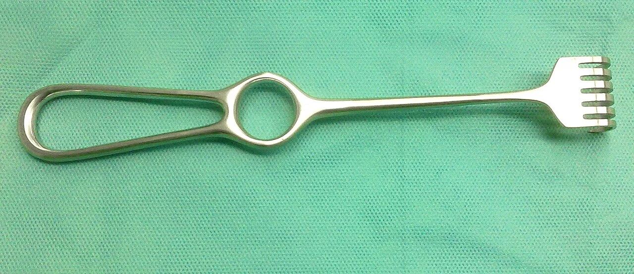 Reference view