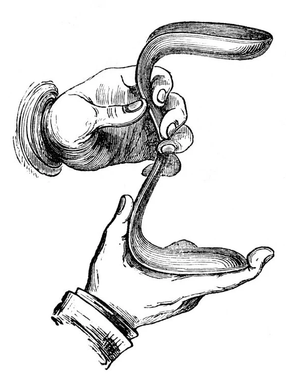 sims speculum — reference view