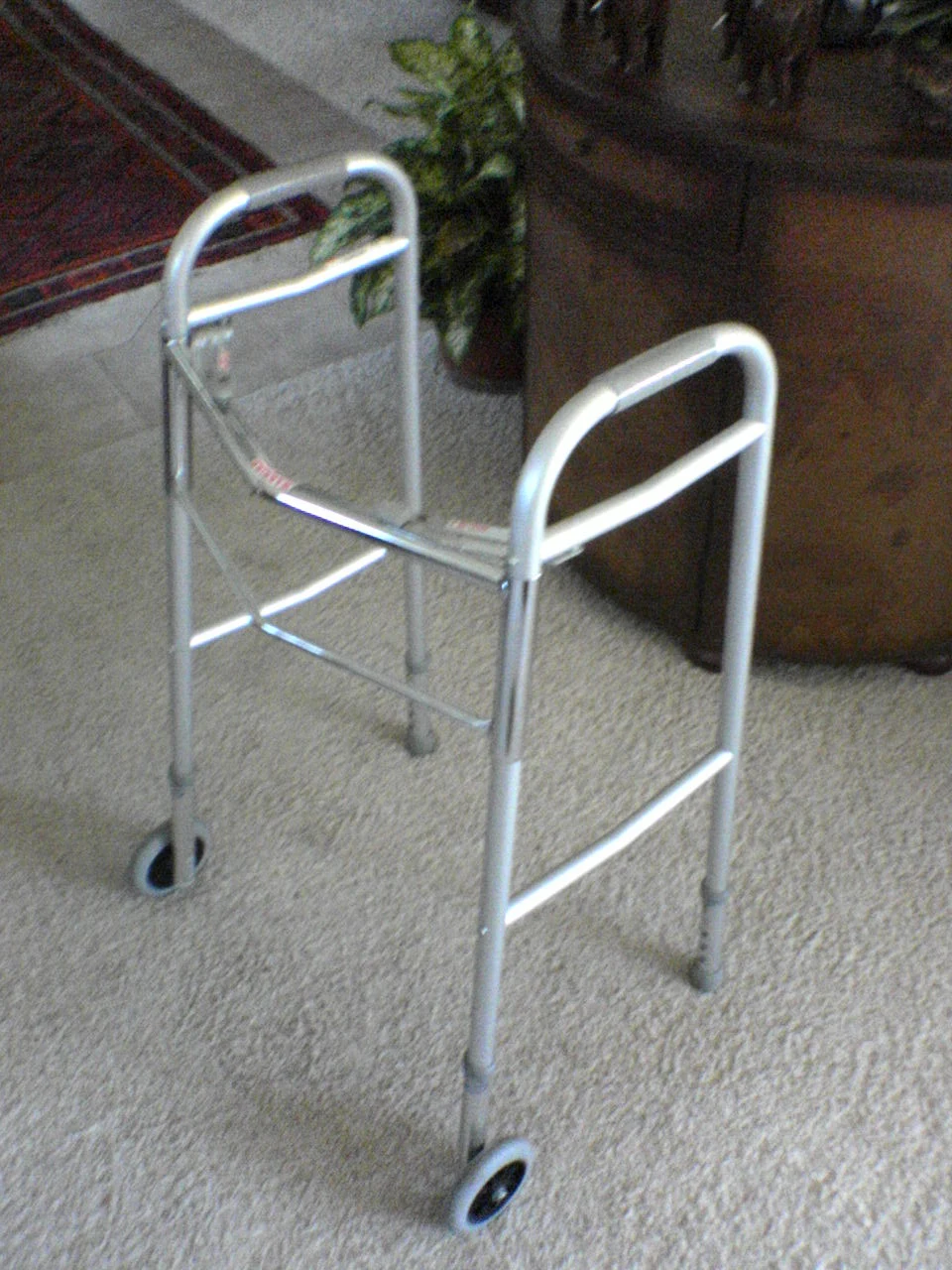 walking frame — reference view