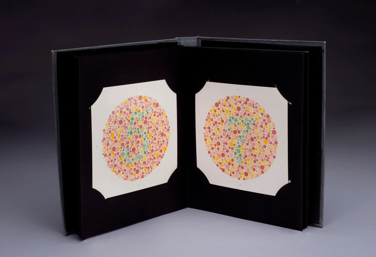 Ishihara colour-vision plates — reference view