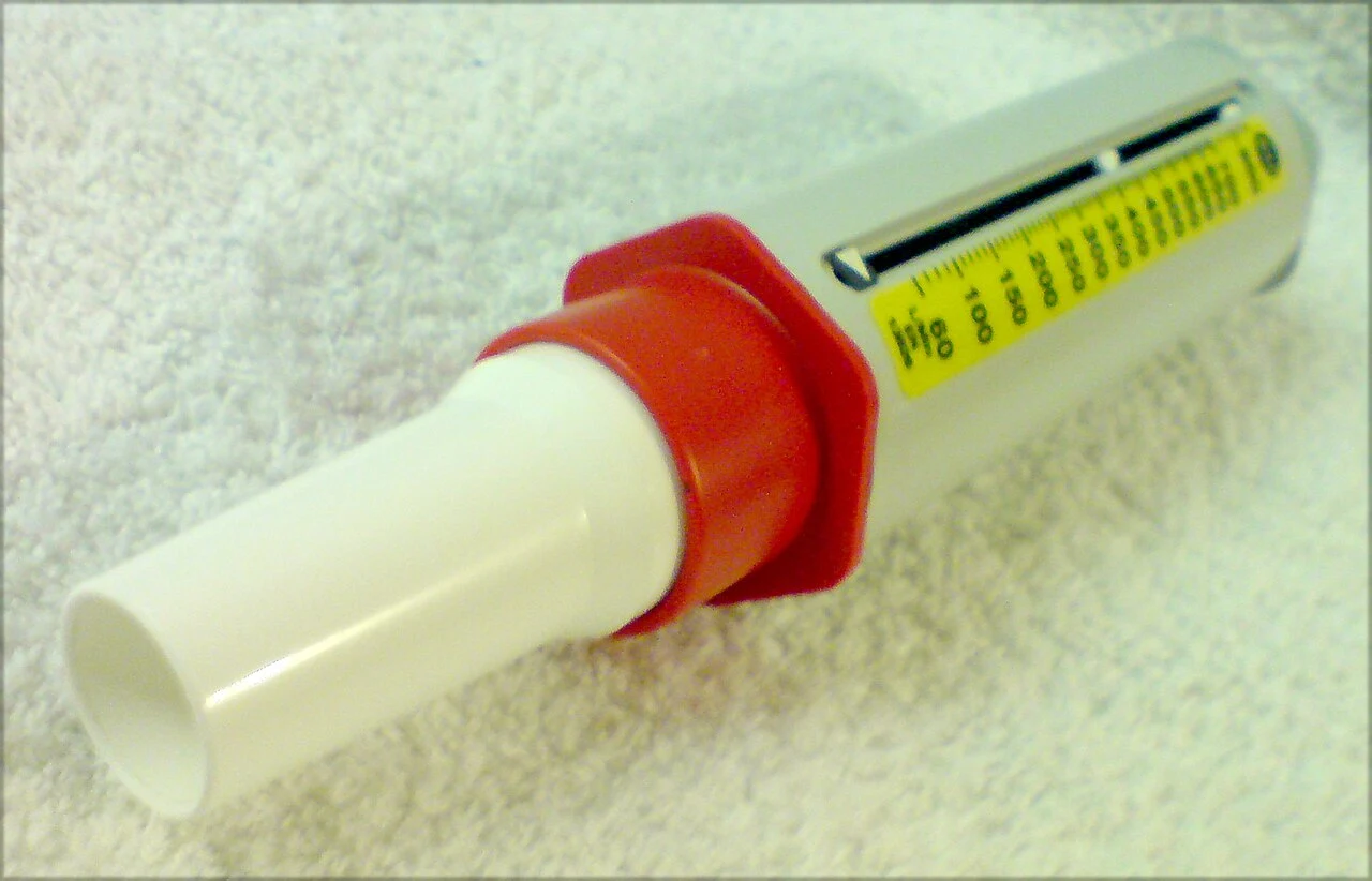 Peak expiratory flow meter — reference view