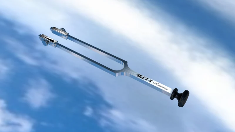 Tuning fork — reference view